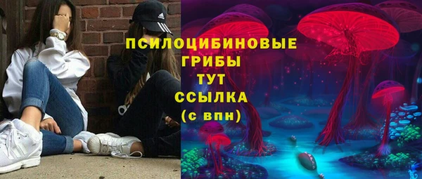 ECSTASY Алексин